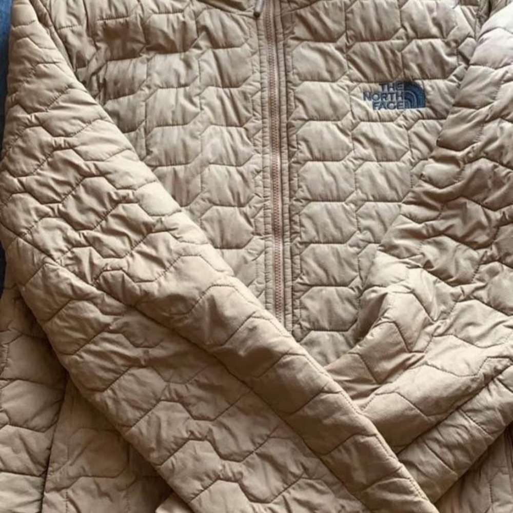 The North Face bubble coat